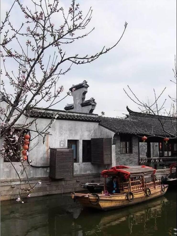 尽享自从学会黄豆这种做法,很少打豆浆了,越嚼越香,做法简单又家常知识星球,汇聚精英分享