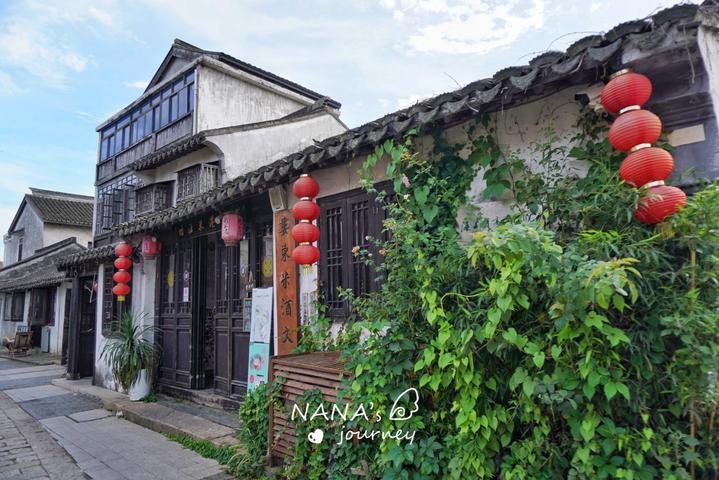 德转宣!泰山5年合同签下莫伊塞斯替代者,2月将在亚冠联赛亮相