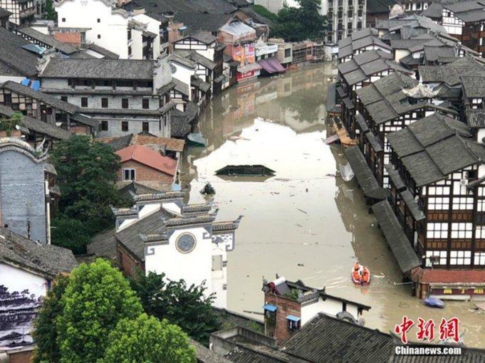 泡沫森林