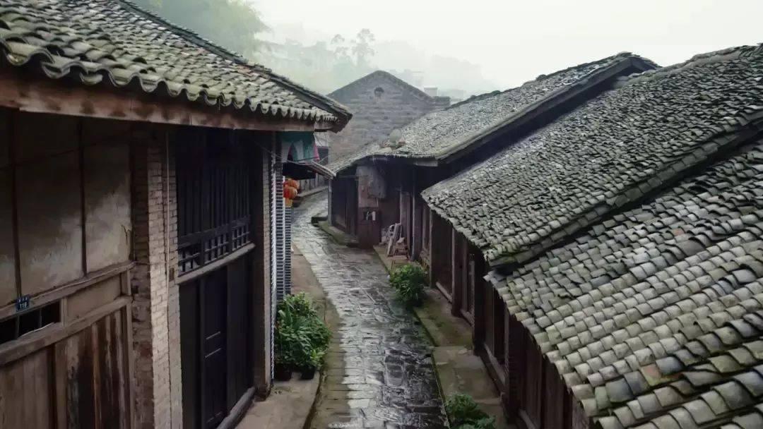 古月追悼会:6米长挽联,女儿亲吻遗像,300名广州市民送行