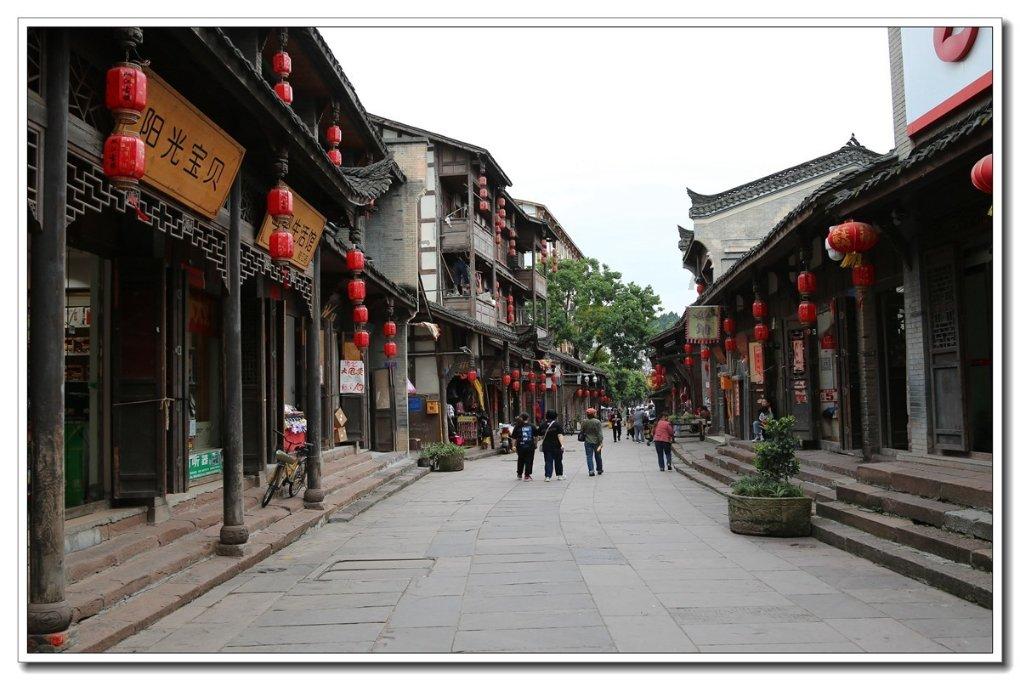 饥饿的哈利