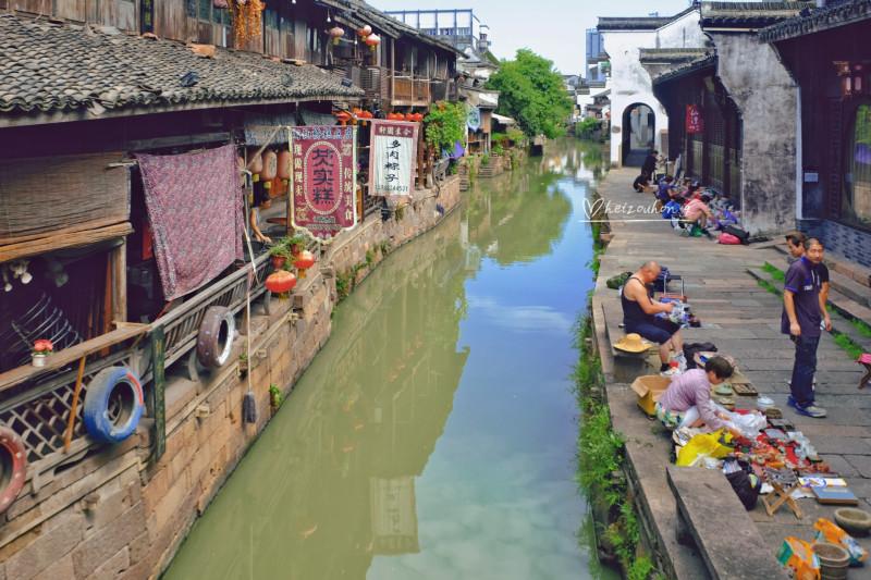 逃离水虎鱼湖
