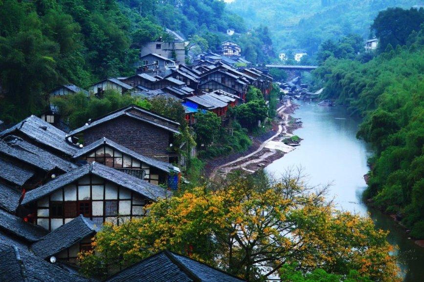 动物帮帮忙保卫家园