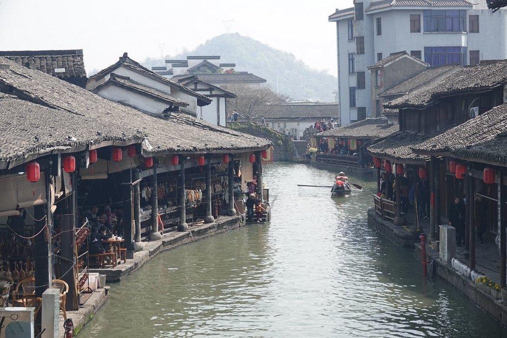 植物大战僵尸20