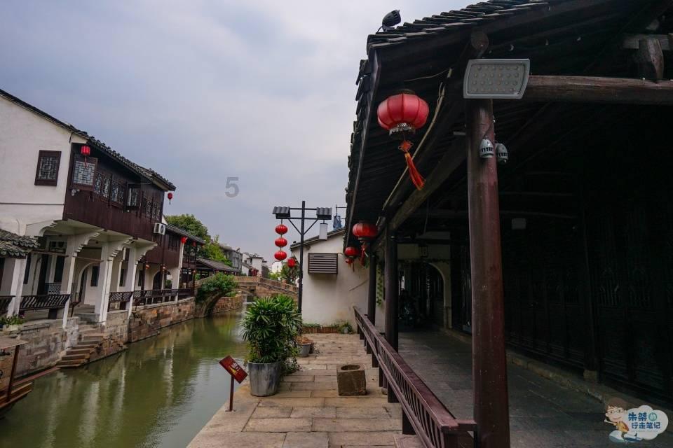 春雨直播app