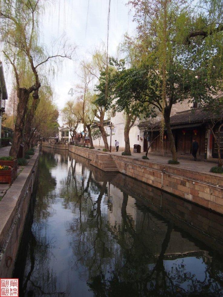 洋葱持续跌价;缅甸玉米主产区农户买不起种子;鹰嘴豆长势良好