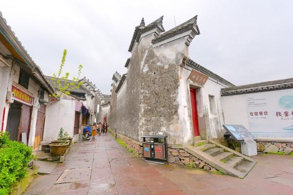 小长颈鹿逃离