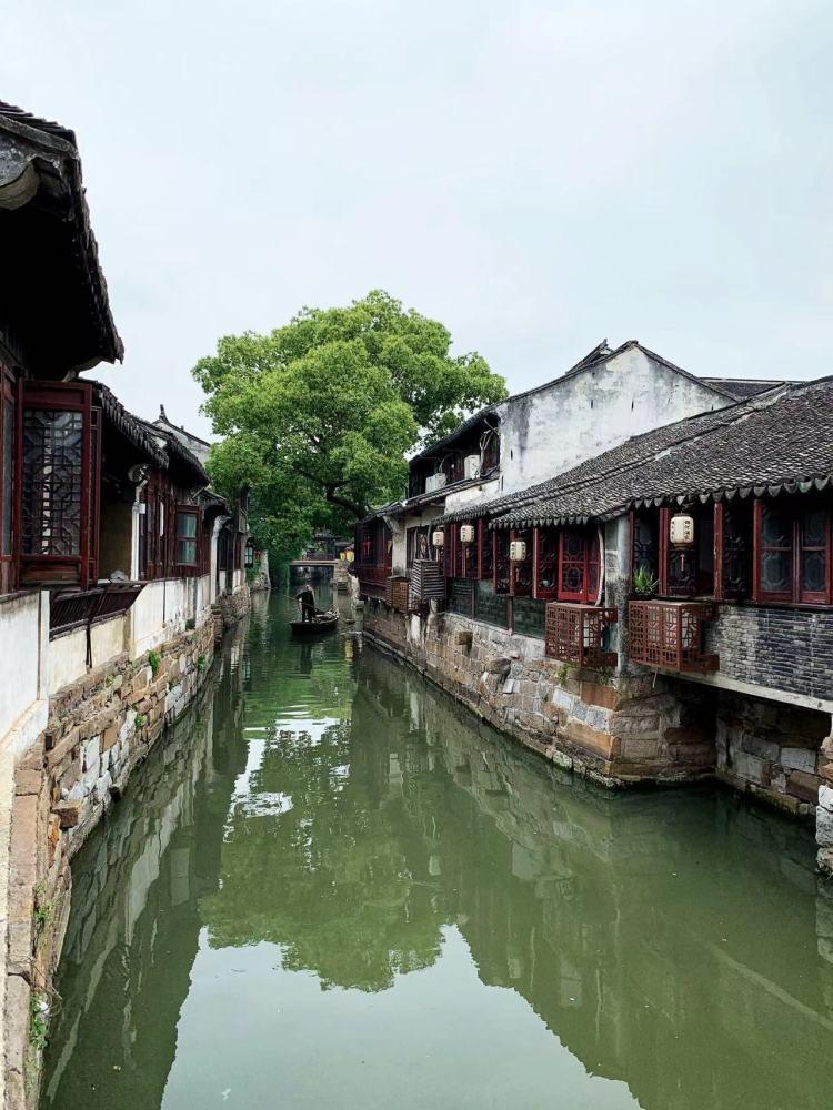 虫虫助手下载