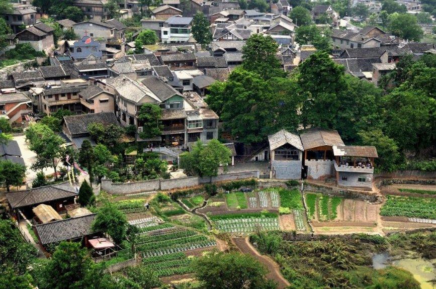 虫虫助手下载