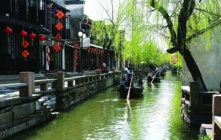 福建一“揭榜挂帅”科技重大专项项目通过验收