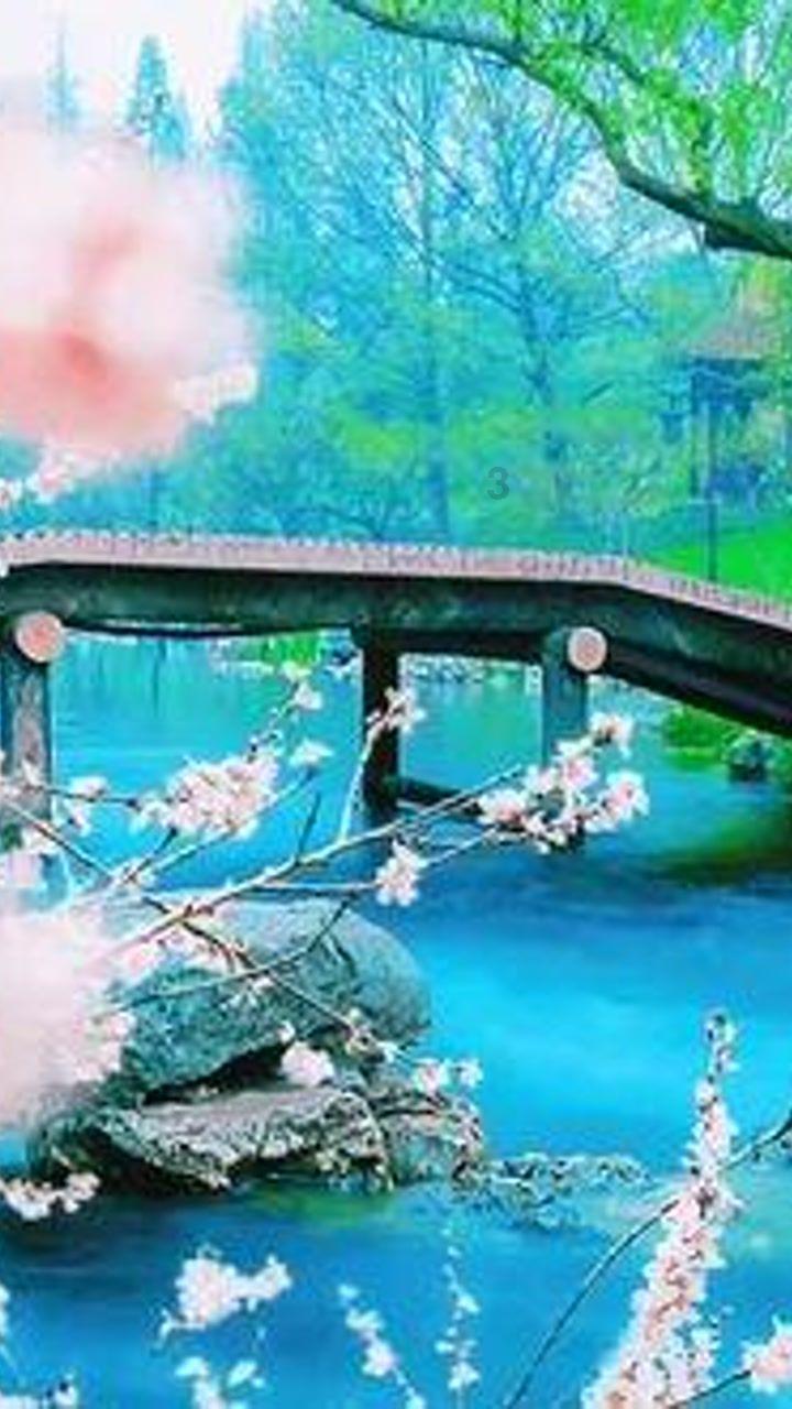 黄金疙瘩汤是怎么做的呢？游戏画面