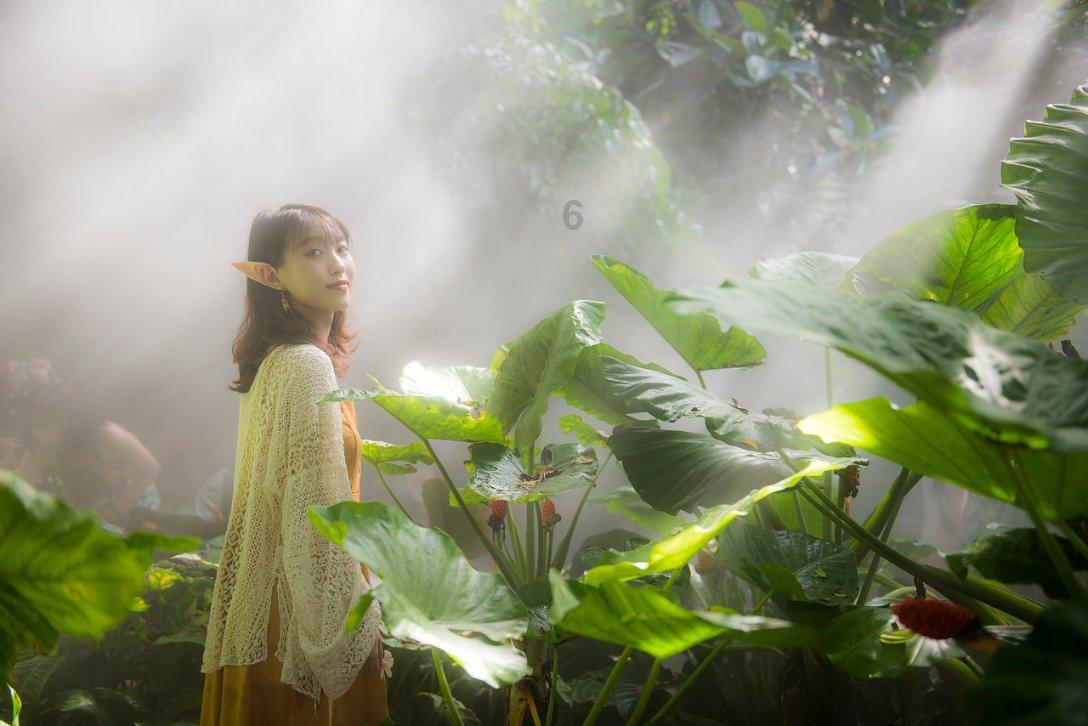 永远的7日之都
