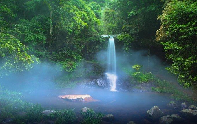 来看看河南“官宣”的新春美食、好酒