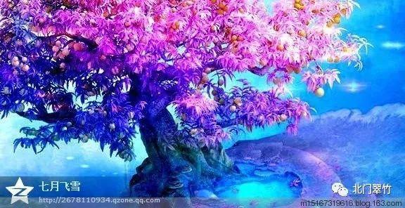 次元喵