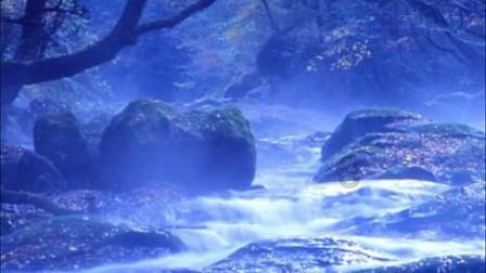 尿液中隐藏着健康信息!若你的尿液出现这5个异常,需及时就医!