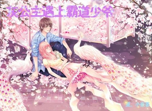 完美的收藏品