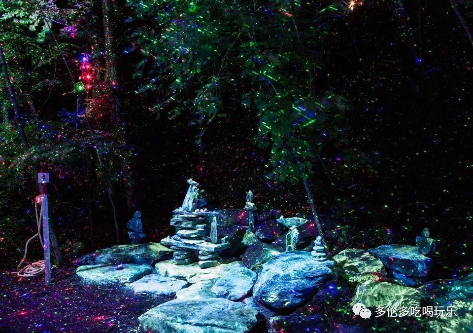 御龙在天