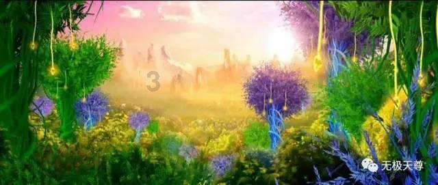 这菜50元一斤,健脾胃补气血,如果条件允许每个月给家人吃上一次
