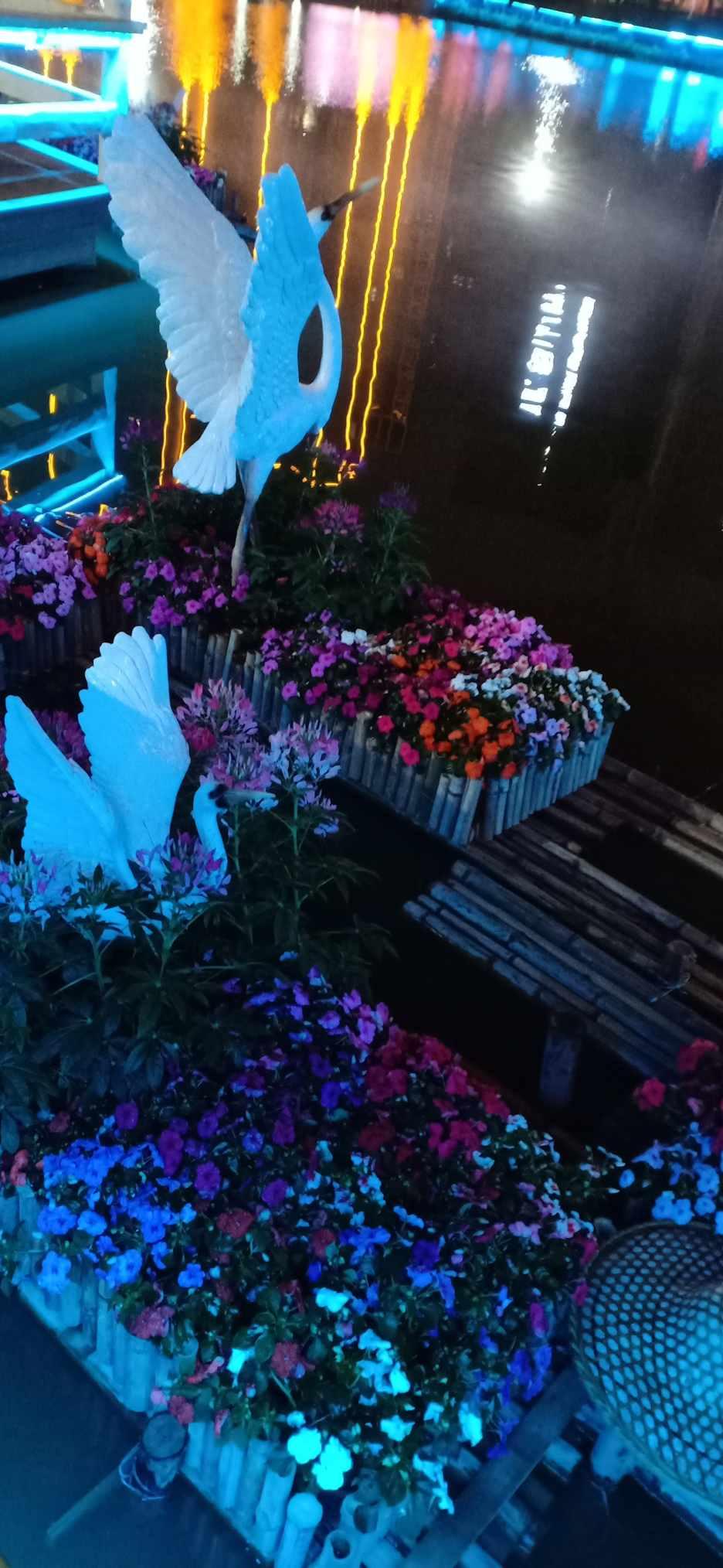 88影视