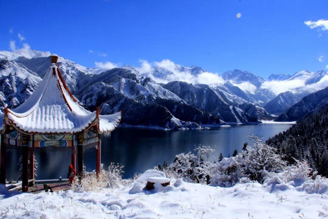 燃烧吧大脑免广告最新版