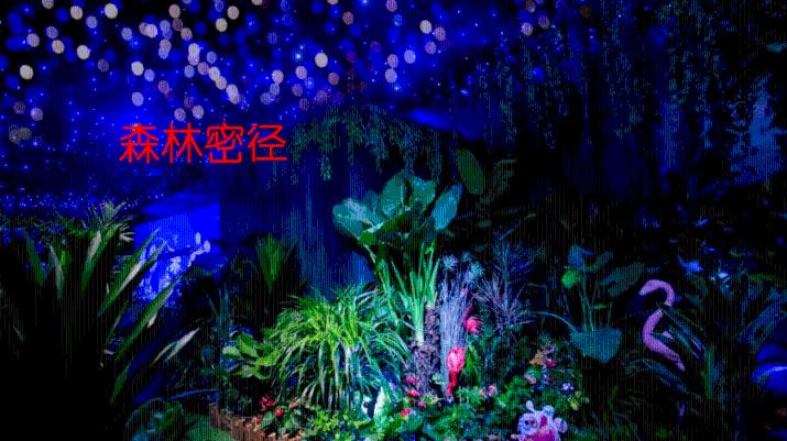 vr虚拟动物教学，亲自探索动物的解剖结构