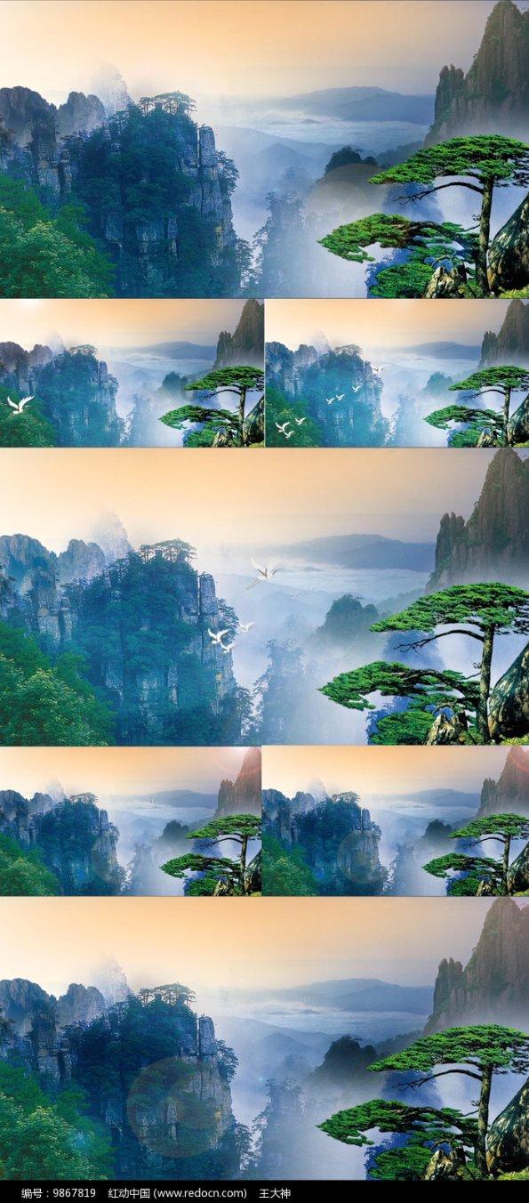 虫虫助手下载