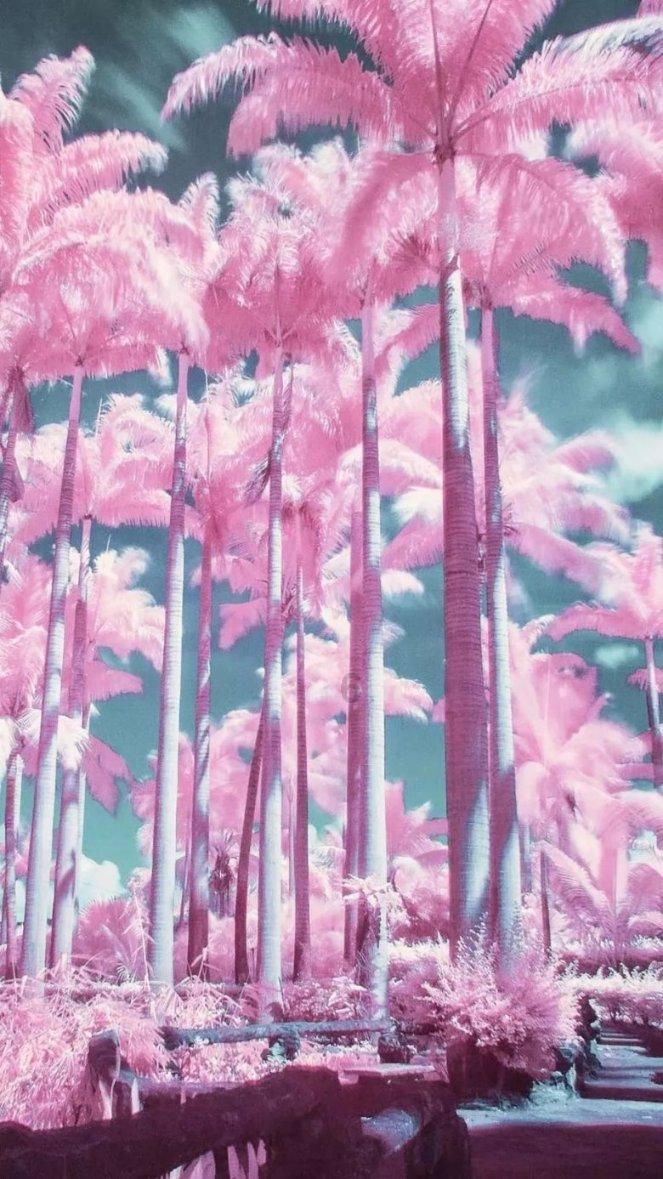 芭蕾舞