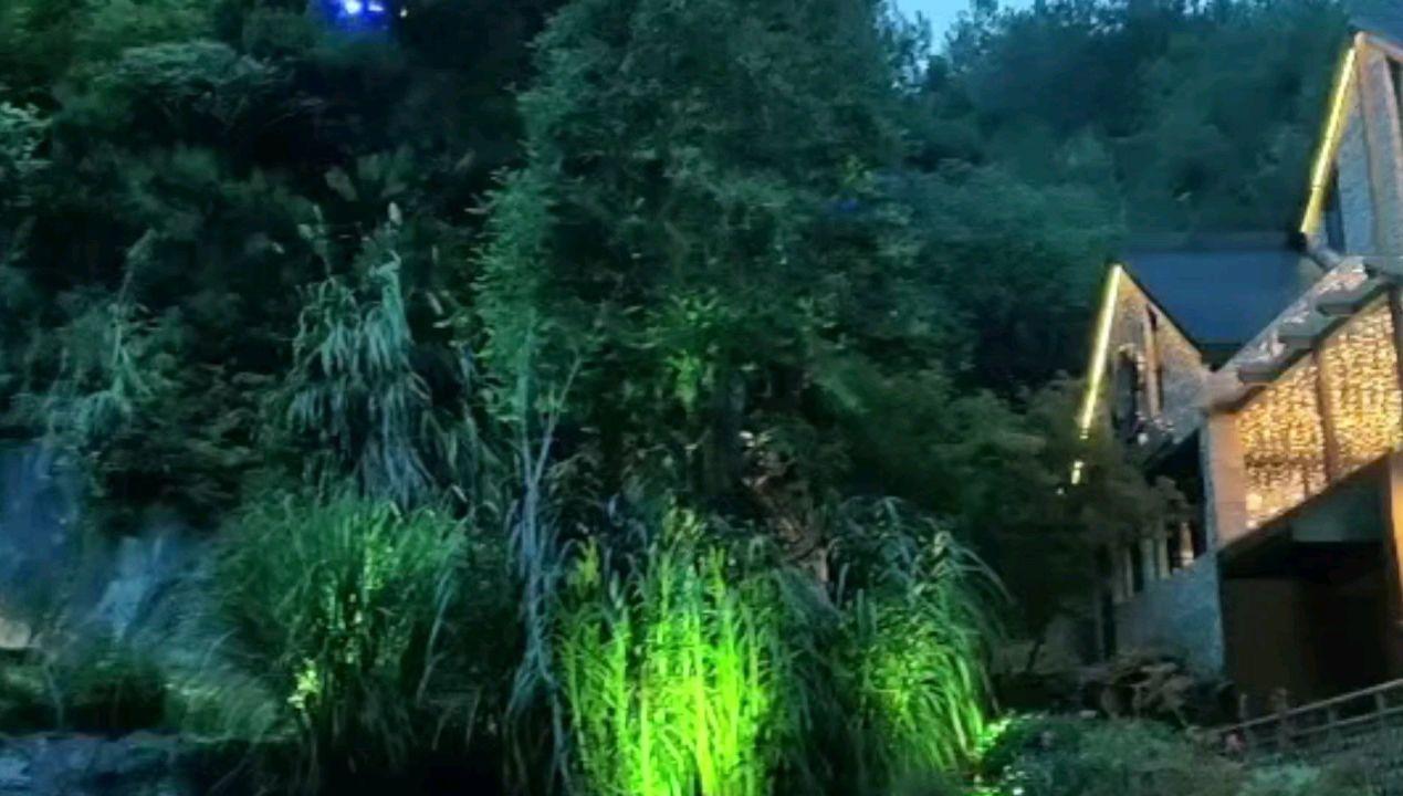 无休止的树